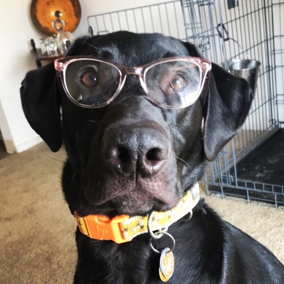 Meet your Posher, Cait - Picture 1 of 1